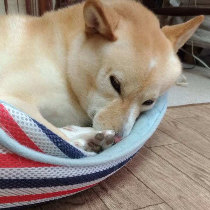 15666aff 9c31 4a4d a28c 0652eb3f268e 1567561987444