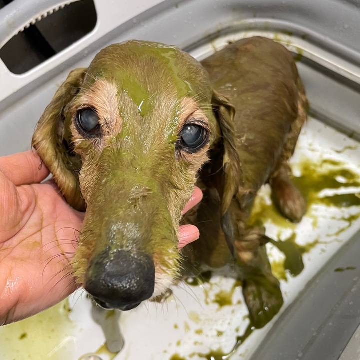 15666fbc 2847 433a bda1 00ddc6d7239d 1679838099094