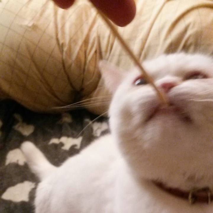 156680f4 ef67 4846 b14a 9c7d5214f7cf 1516872331818