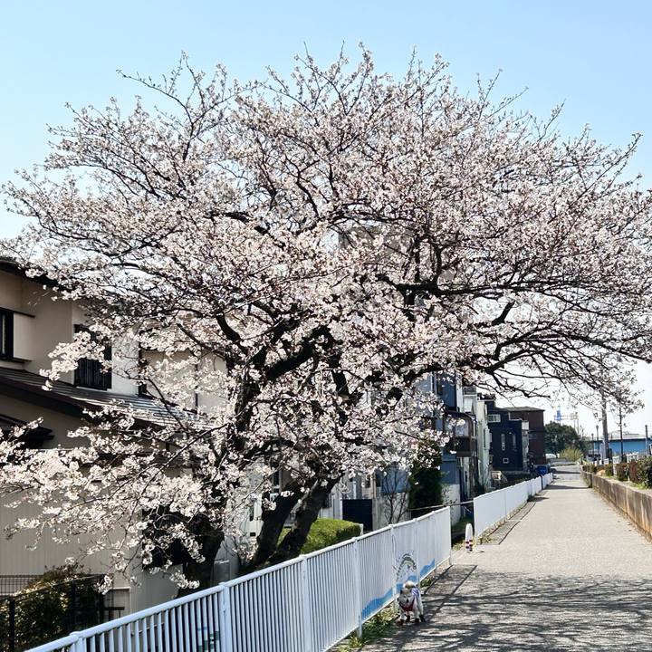 15669727 e6d5 4a21 9c5f b2ee965b5fd0 1743312511884