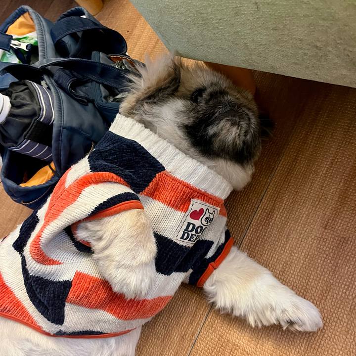 1566a58d d7e1 4350 8a53 dd7eb73b9fe4 1732845025861