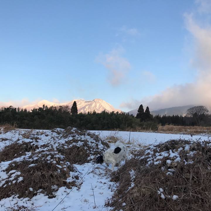 1567002d 4f20 431b a7fd c83e6d595ee8 1515303597957