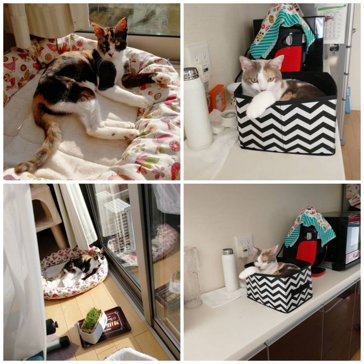 15677964 02b0 4439 9e76 41ac6942a319 1597896286325