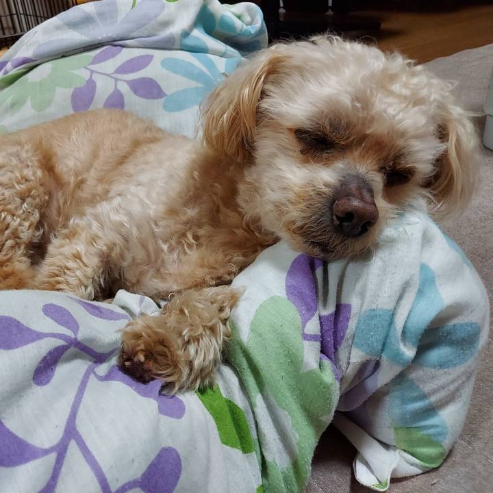 1567916d 0165 4de2 984a 1098b84885f1 1747453657535