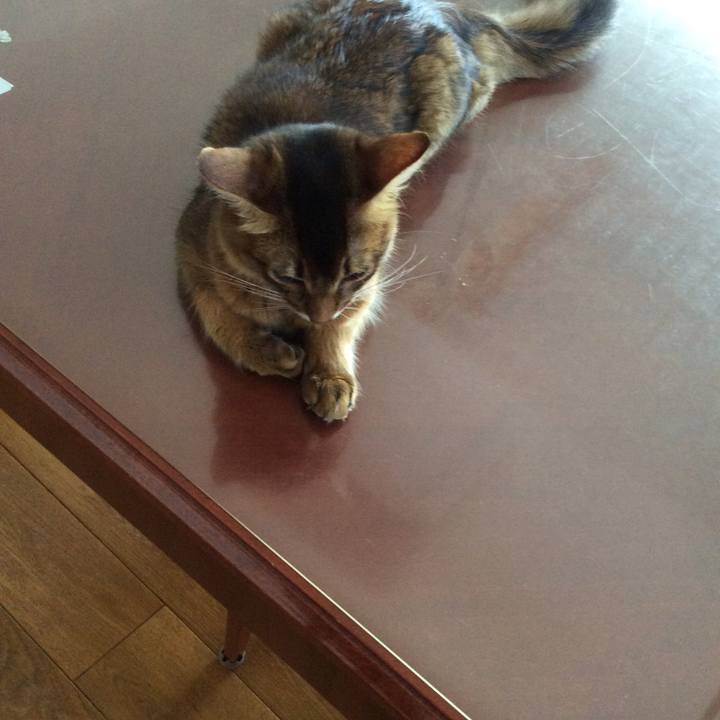 1567adfc b7ea 4377 91fb b1ce00bcfaa6 1564983589925