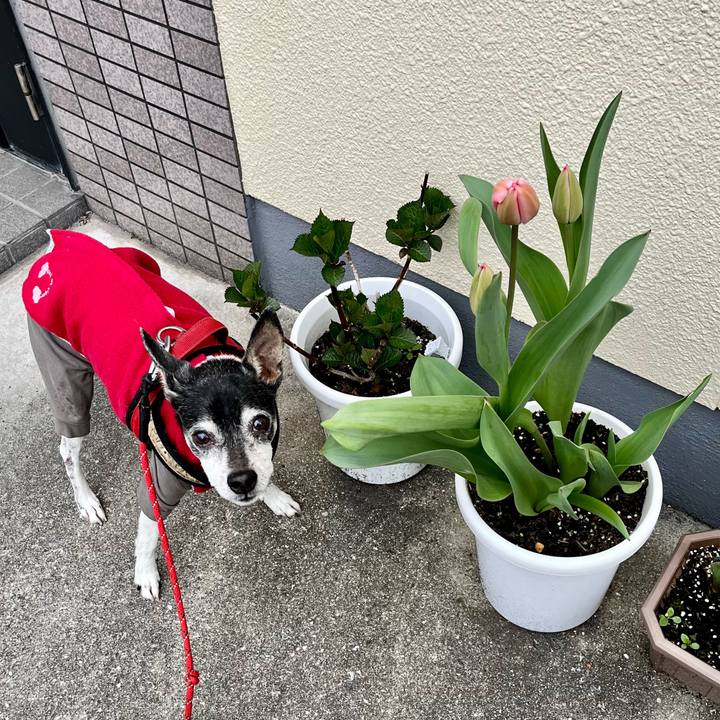 1567b19d 233c 4da5 ae75 3b53b53cdbce 1648526215361