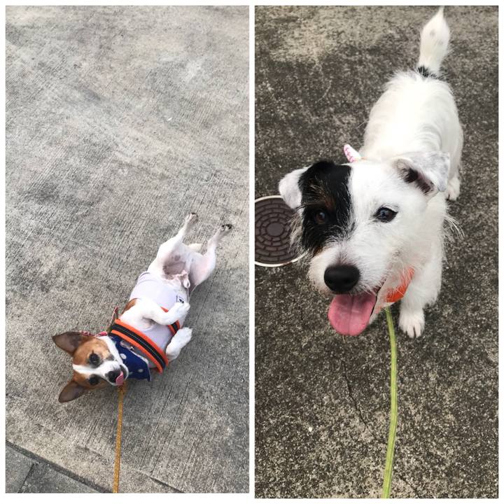 1567c444 5439 48be be40 ff41033f5989 1533289238205