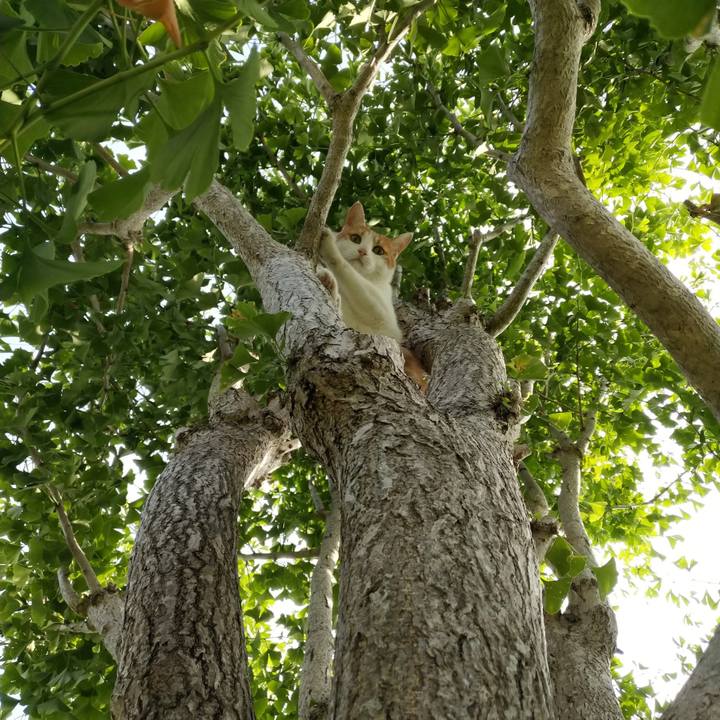 1567c4ad af1b 4bfb 9554 3b637f947018 1530231690475