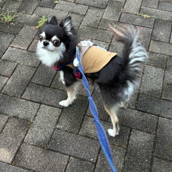 1567d4a1 6e6f 4f99 91c4 e5bec7298458 1724601373062