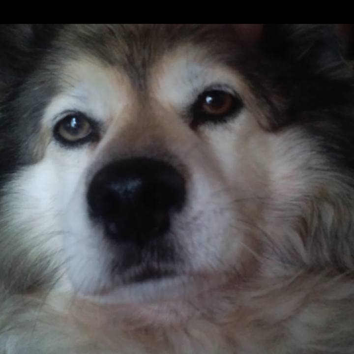 15681395 3d03 4ca7 9b33 18921be8f5cb 1614055316017