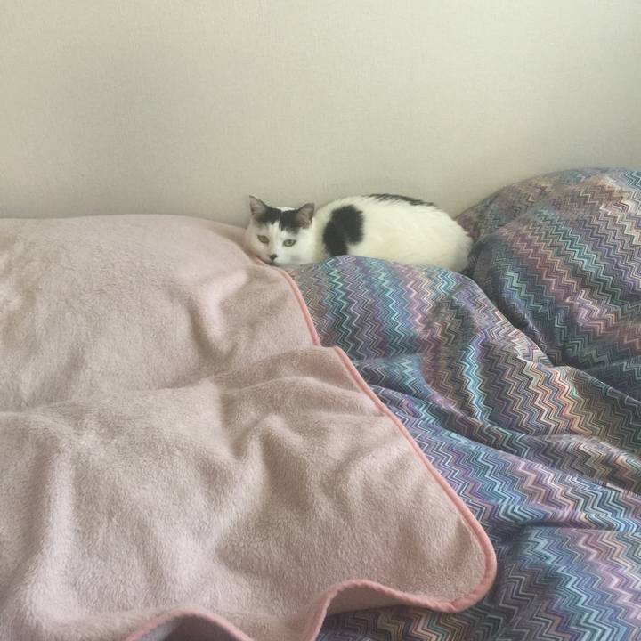 15681f4a 3b43 440a b552 04e28c35ae21 1514331757677