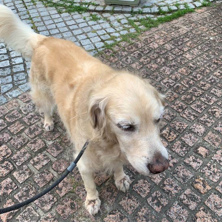 1568347f c4ba 4294 9608 a5d1be813fab 1560984633475