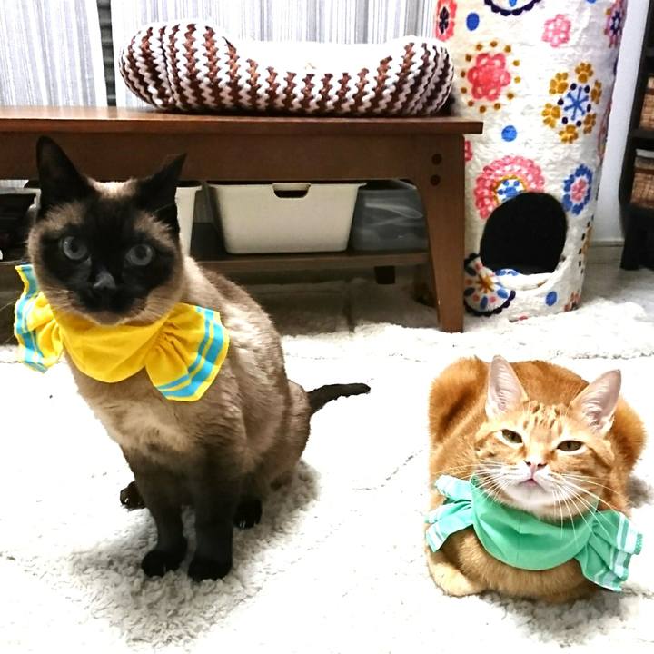 156886aa 3f76 4f3c 9b9e 757cf805750a 1526813077014