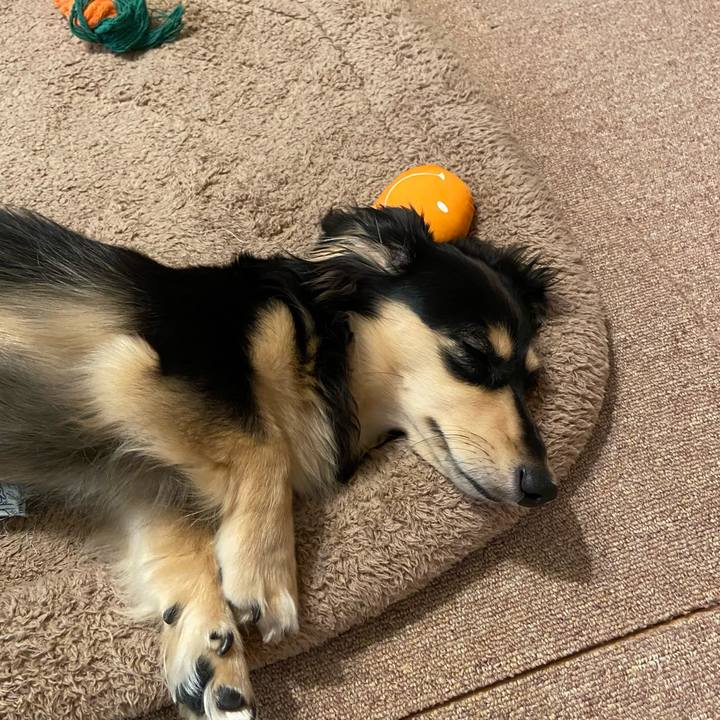 1568b875 ca20 45a8 bcff e0b0ec39d42d 1687479104570