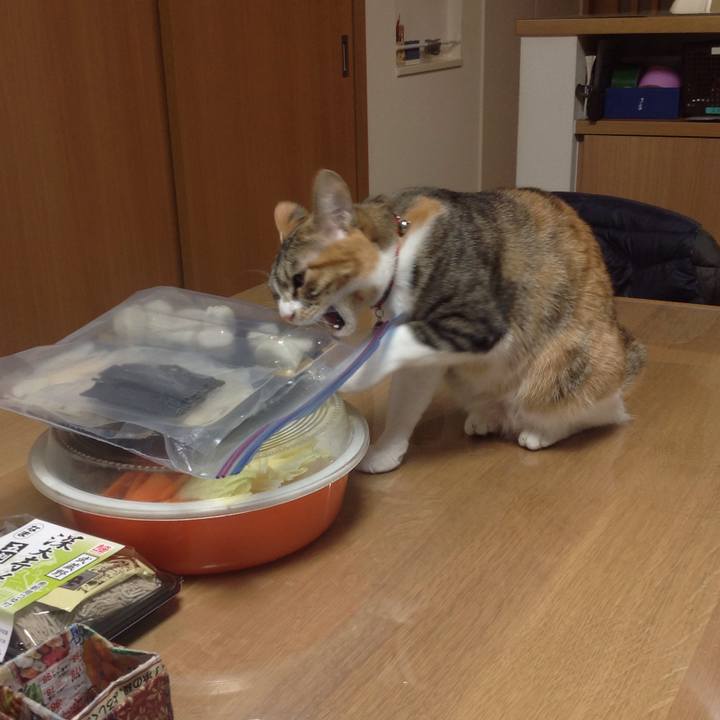 1568cb4d a87b 4806 9895 d100aeb8a764 1640946113187