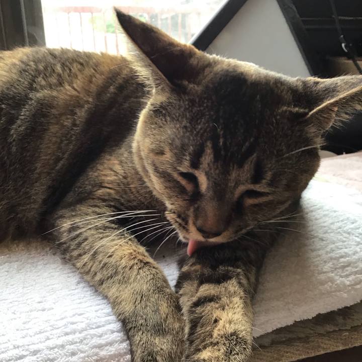 1568f9f6 8e36 450b ad02 fbb8c28b0200 1682766746794