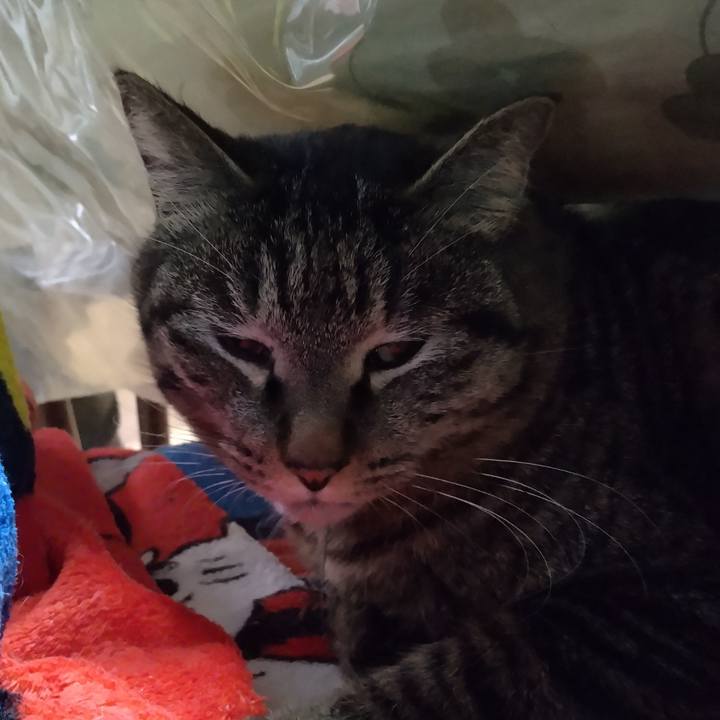 15691aaa 81cd 42b8 a4d8 6c432004c089 1677280944490