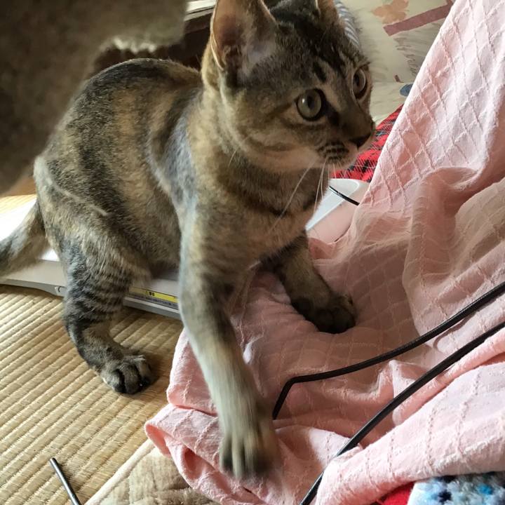 15696e47 8ee5 4c27 9c0f bb3500753ed5 1575159324580