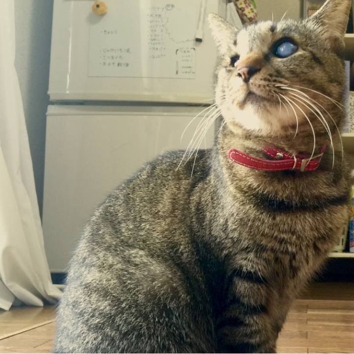 1569730e 4df5 4a53 b7c6 4aaa110358f6 1751706583233