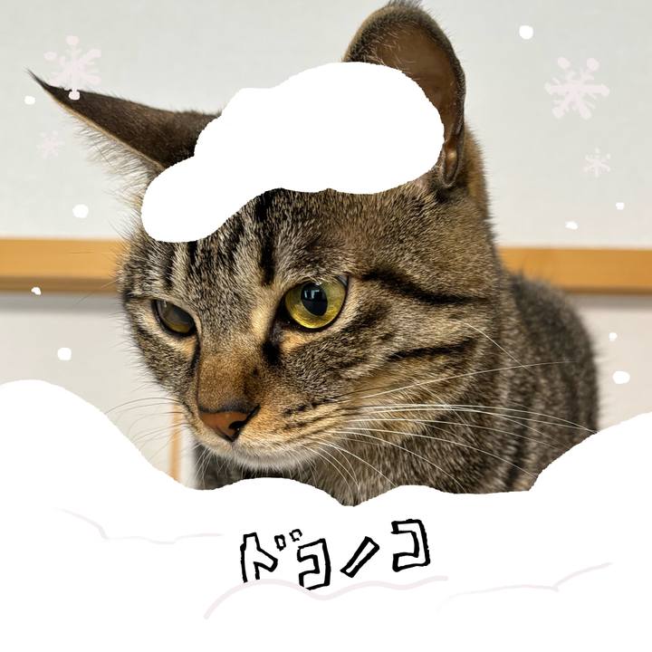 156986ce 2713 4672 9b57 0cf6904ab73c 1771986147424