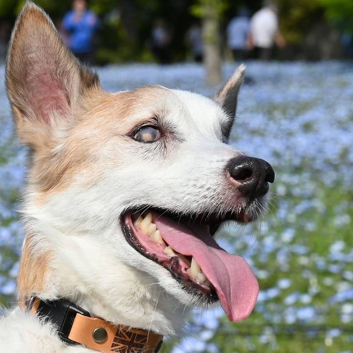 15699f49 55bc 429b 9e35 05bbc32f30c6 1776686761912