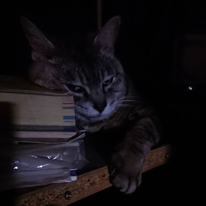 1569a7eb 13fd 4193 a345 169e041b1af7 1564143293477