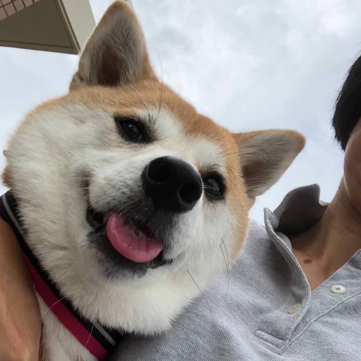 1569adda 452f 46ff 8630 d476175460df 1536797313566