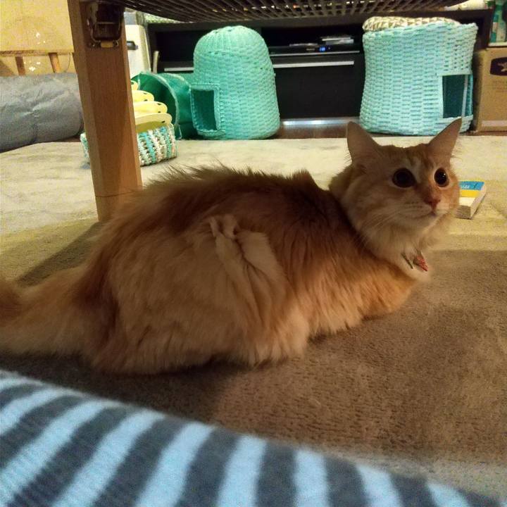 1569b6f6 026c 4416 9766 8f53a45ab2a1 1634559036028