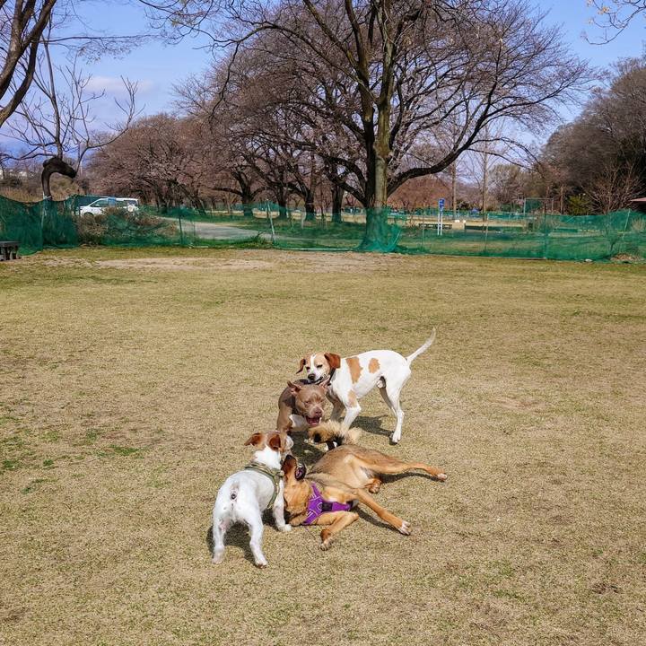 1569bff6 b160 4341 8c1f ad5330e93d8b 1743325988327