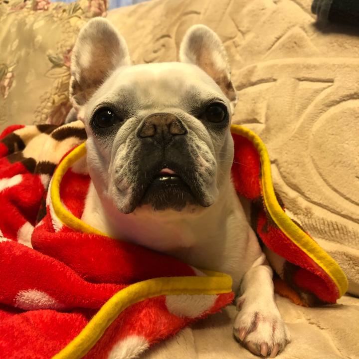 1569ed2d 6aff 44d0 a4e2 2229e6764334 1640503503216