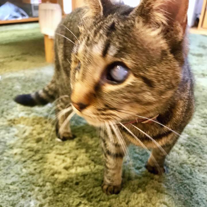 156a2042 5049 49a8 84e3 33f45d3c657b 1520252708365