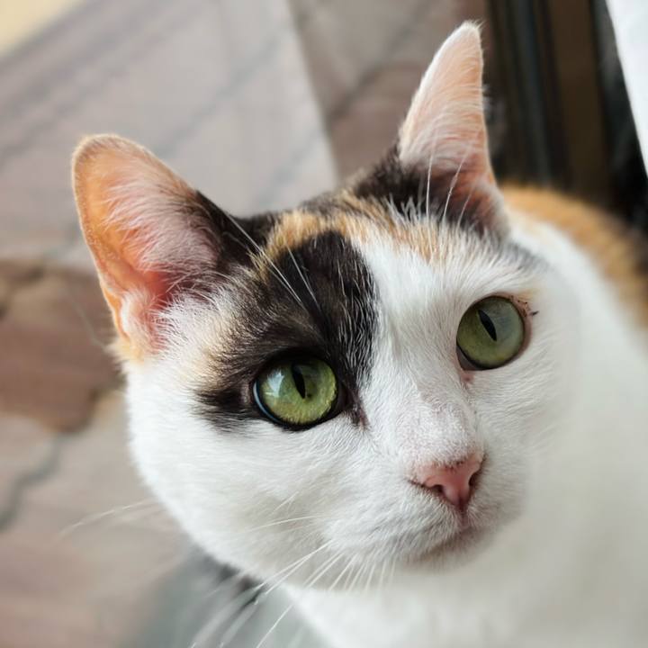 156a41c3 53b2 4465 9bf6 2a3c90090643 1716858143433