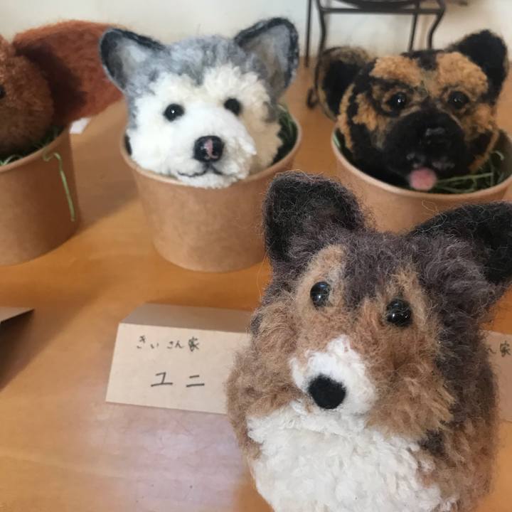 156a58ba 944f 4921 a632 8861b842612a 1540014837594