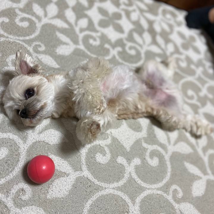 156a5fd6 71b0 48fa 9502 dd1befd2b43f 1582717557602