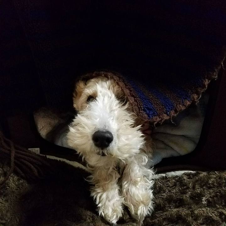 156abf6a 9e9d 485c ad14 4641676f5bf8 1515538235824