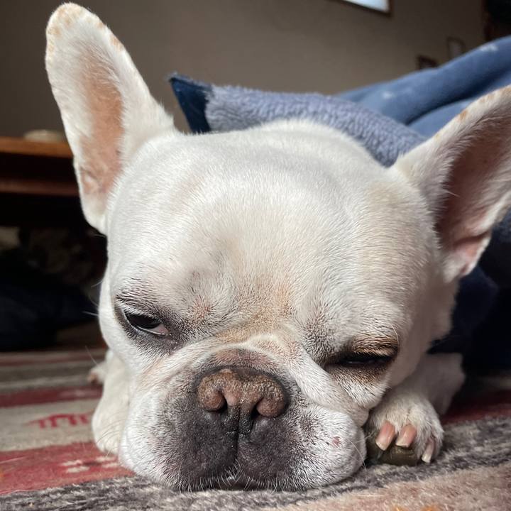 156b3f64 b44e 4187 bf45 1d04d9b2bc99 1770676573867