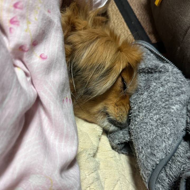 156b4fd7 cc63 465e ace0 cd910ca6e0fb 1704836416821