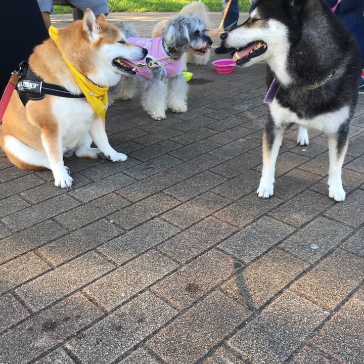 156b50d2 07eb 4f8a ace5 ad06c2921d6a 1626735016146