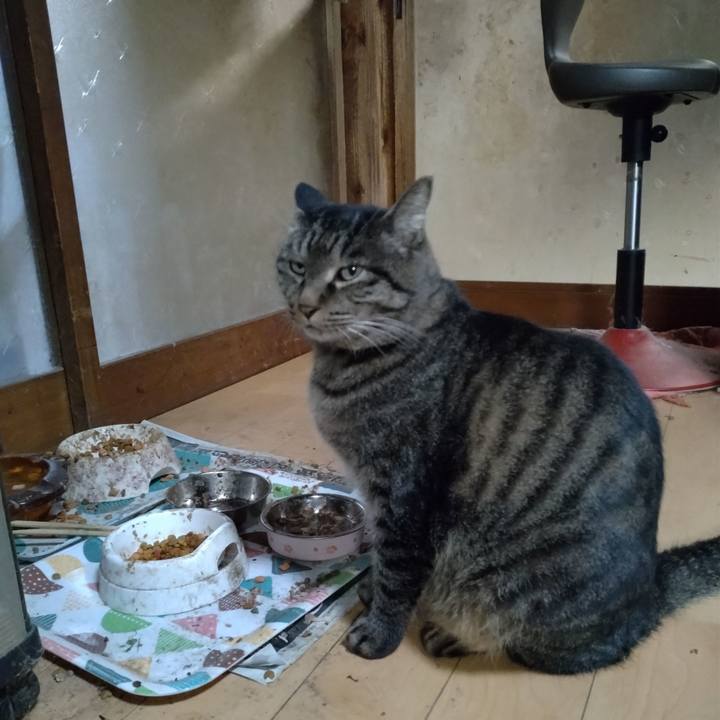 156b6eb8 20a4 4d7d 935a 9a3d73ef5466 1668426829547