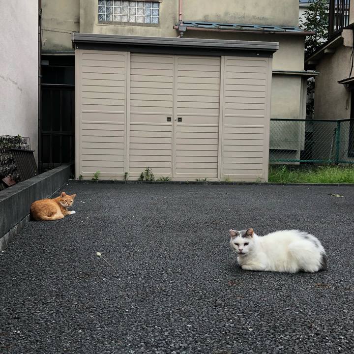 156b7ca0 94b9 43e2 81bd 516be9452cd7 1601364074380