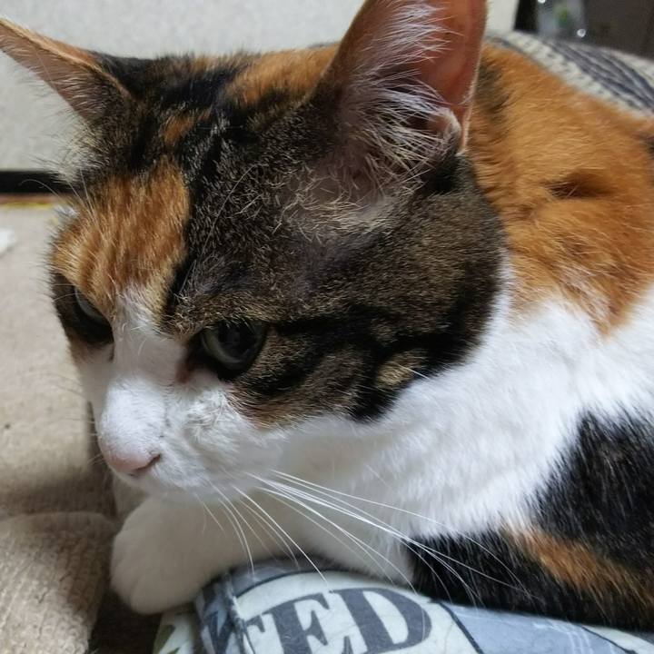 156b7ce2 8d85 425b 8dd8 9247c0ed5e67 1530567621322