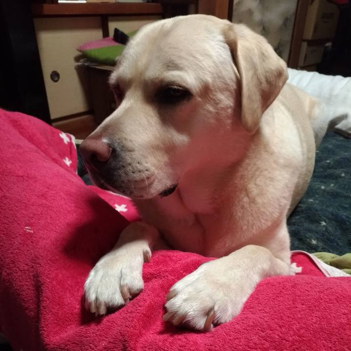 156bce99 18ab 4f52 b1af 27f51ef66a5a 1604881864923