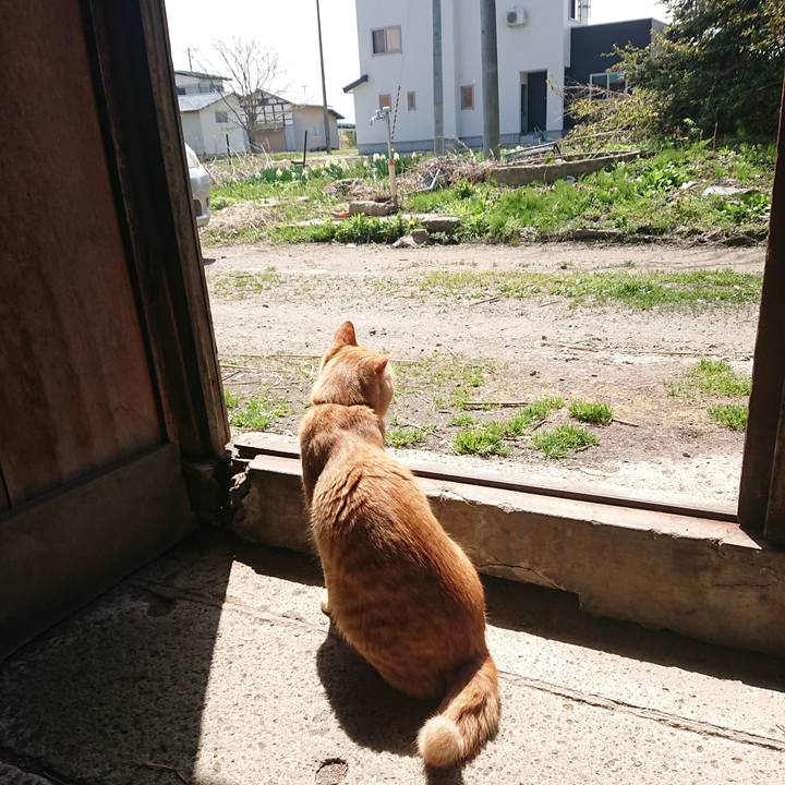 156bf48e 84d9 4f18 8697 f01d35b669bb 1651147694304