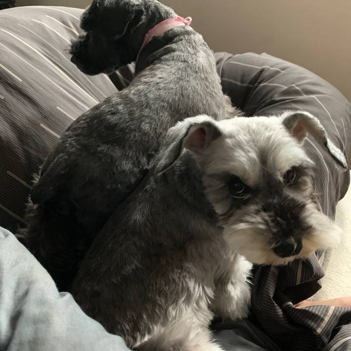 156c0a58 765d 4525 aefb 197ab8d3f457 1618628192880