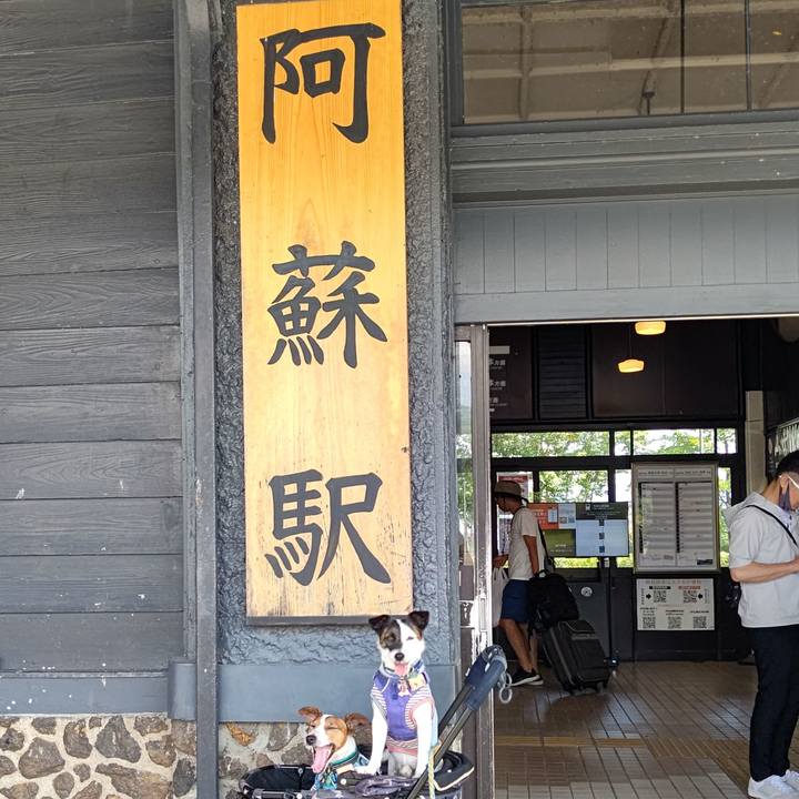 156c51f3 1b29 4772 b48e 44082514f5f2 1691899037246