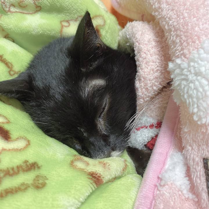 156c55f6 a304 41ac badc 87b14a882bff 1644758559820