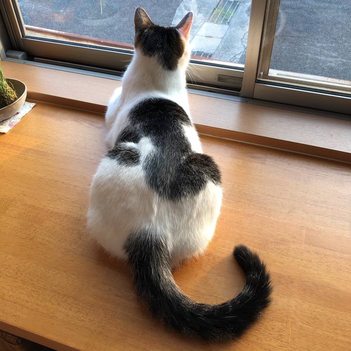 156c710c 7f59 46e5 89b2 9303e8eba534 1598048548854