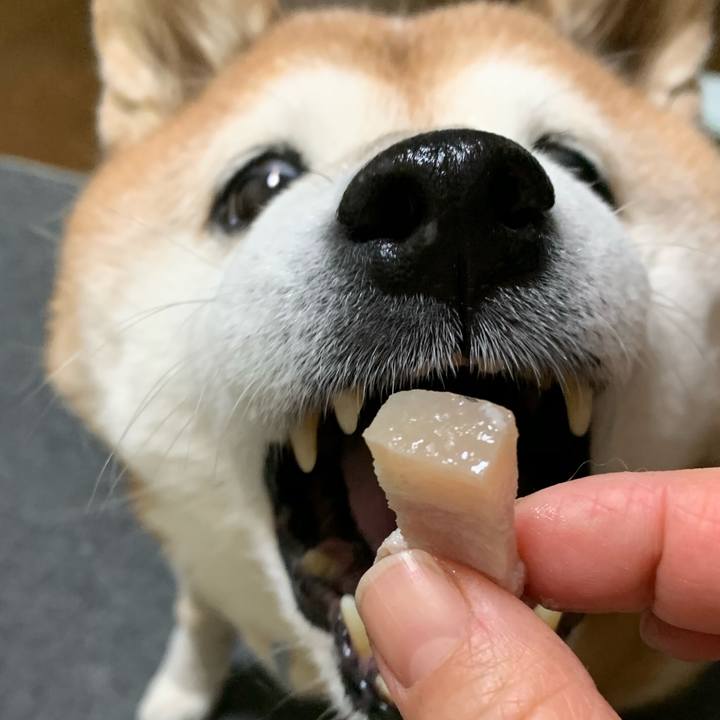 156c8ee4 8a7f 4073 a2d3 178fe9c758ce 1577688474615