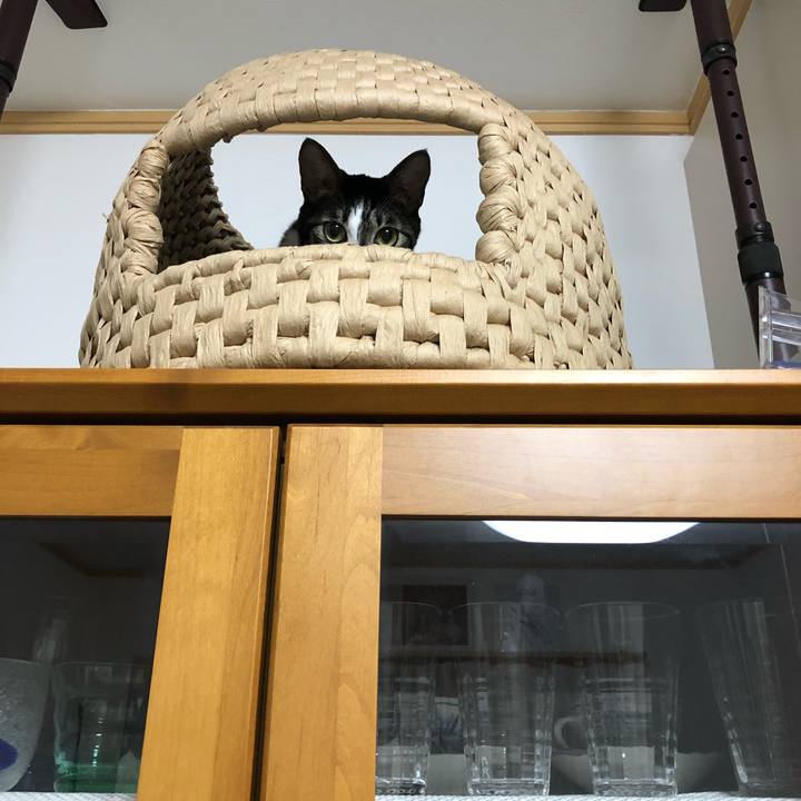 156c94f8 fc6e 4754 9886 4390e807e8f1 1537706279671