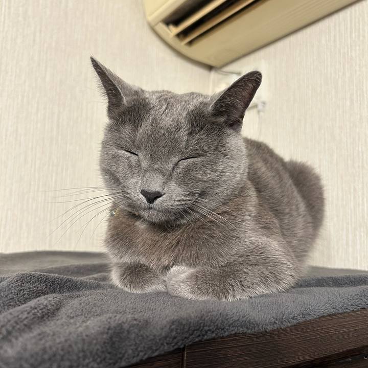 156c9f62 04ef 499d a67f b95f5f00b5ce 1708316715929